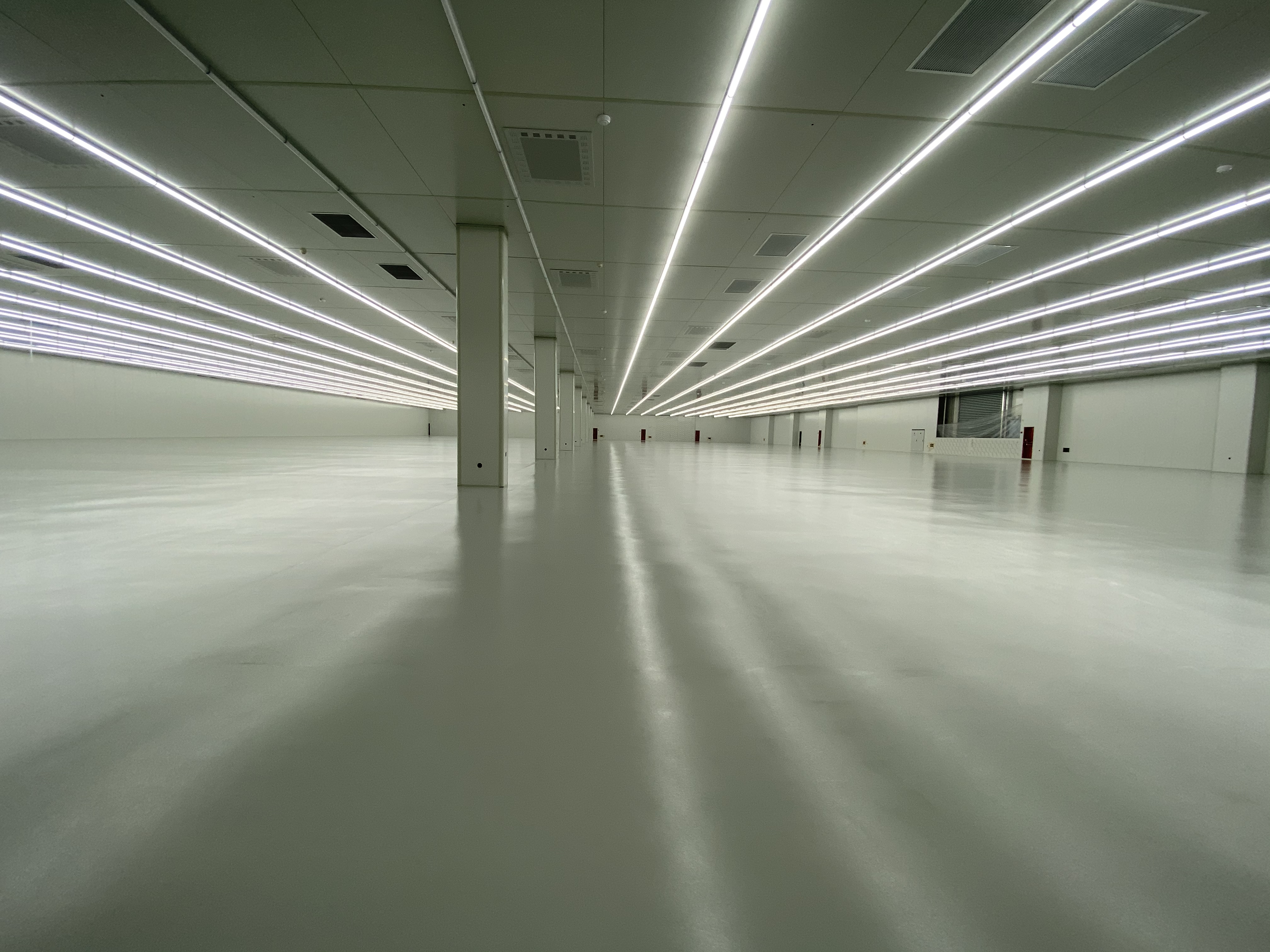 ��ƺ����